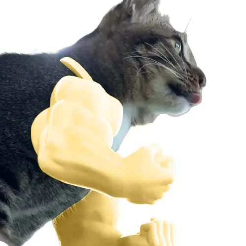 S459ff2666a144fb6b0a508fb979068f4E.webp 3D Printed Cat Muscle Arm Giant Muscle Arm Lightweight Halloween Cat Costume Funny Pet Cosplay Costume Pet Cosplay Accessories