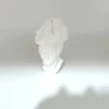 3D Print Elegant Multi-faceted Facial Decoration, Simple Abstract Design, Home Decoration Head Decoration