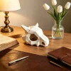 Sbf5173a28d6b4e0f8040f26286cb2dbaQ.webp 3D Printed Geometric Skull Figurine Stylish Low Poly Head Ornament Minimalist Desktop Bookshelf Statue Home Tabletop Decoration