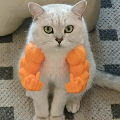 Seaefd230c3ac48309125f1416e3b9d5eR.webp 3D Printed Cat Muscle Arms Funny Finger Cosplay Prop Realistic Neck Arm Covers for Halloween Party Costume Pet Photo Shoot