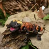 3D‑Printed Realistic Multi‑Articulated Lizard Figurine Desktop Ornament Home Decor Kids Gift Accessories